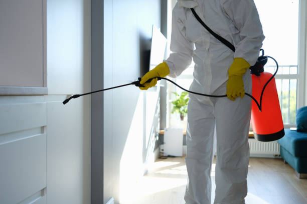 Best Same-Day Mold Removal  in Camp Croft, SC